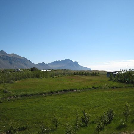 Dilksnes Guesthouse Höfn Dış mekan fotoğraf