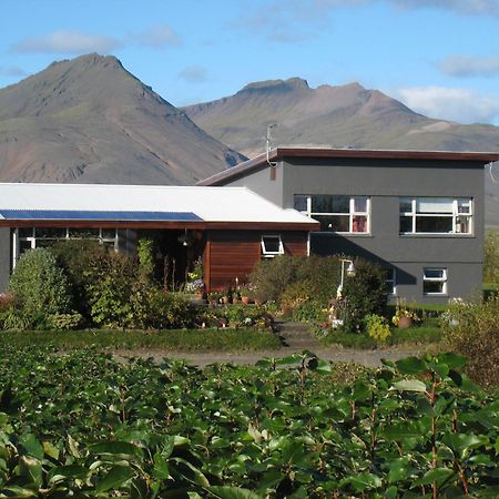 Dilksnes Guesthouse Höfn Dış mekan fotoğraf