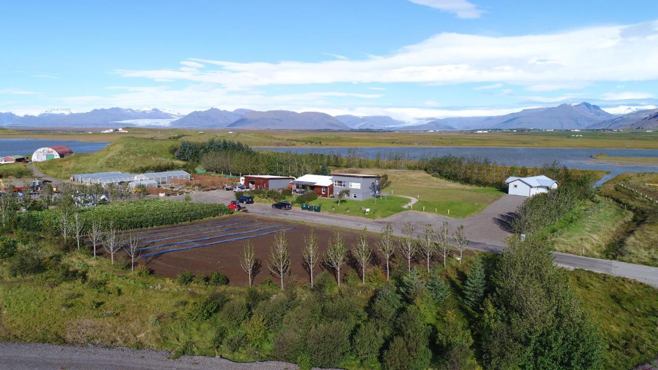 Dilksnes Guesthouse Höfn Dış mekan fotoğraf