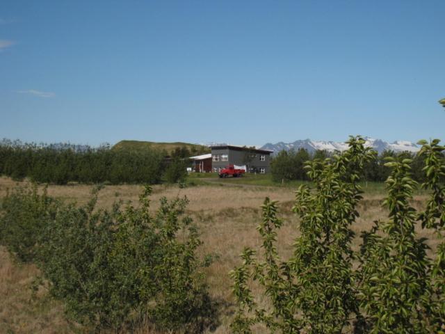 Dilksnes Guesthouse Höfn Dış mekan fotoğraf