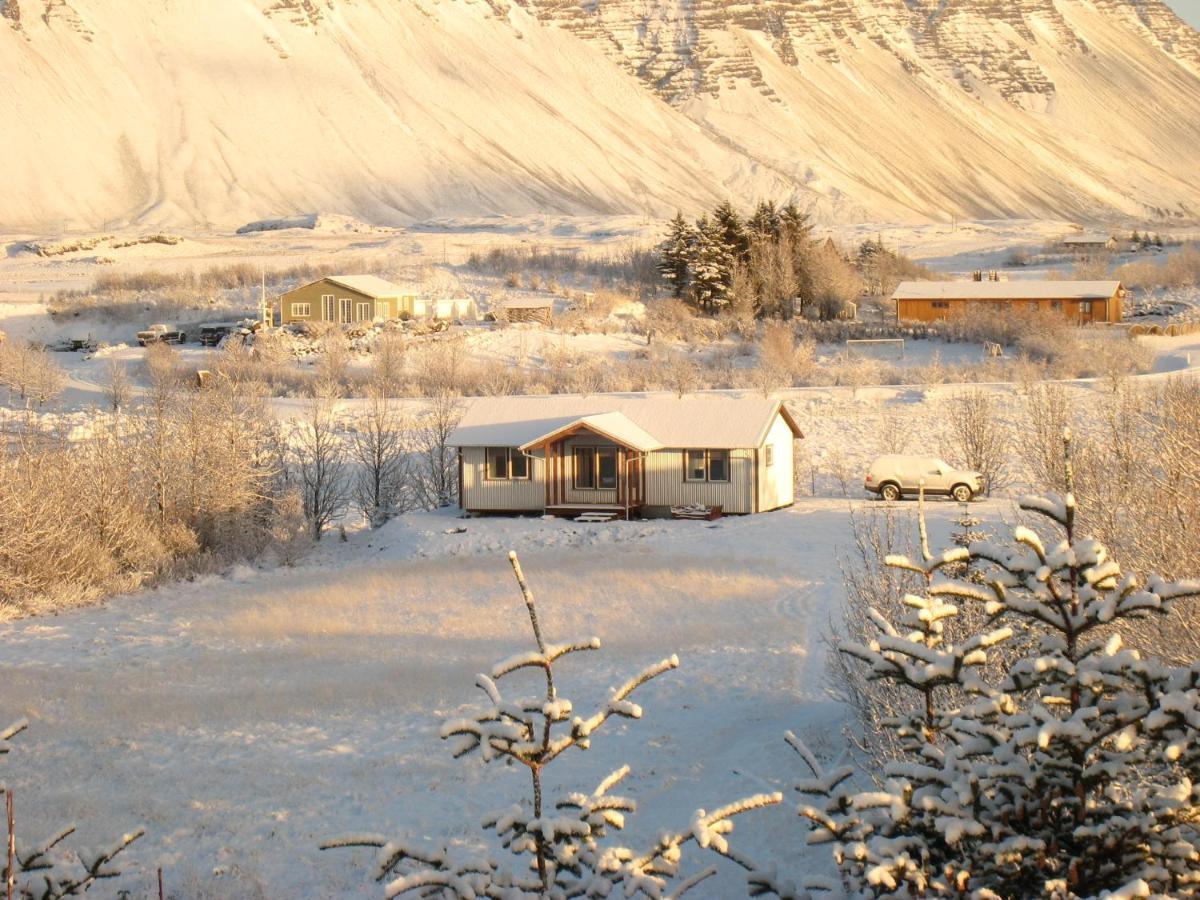 Dilksnes Guesthouse Höfn Dış mekan fotoğraf