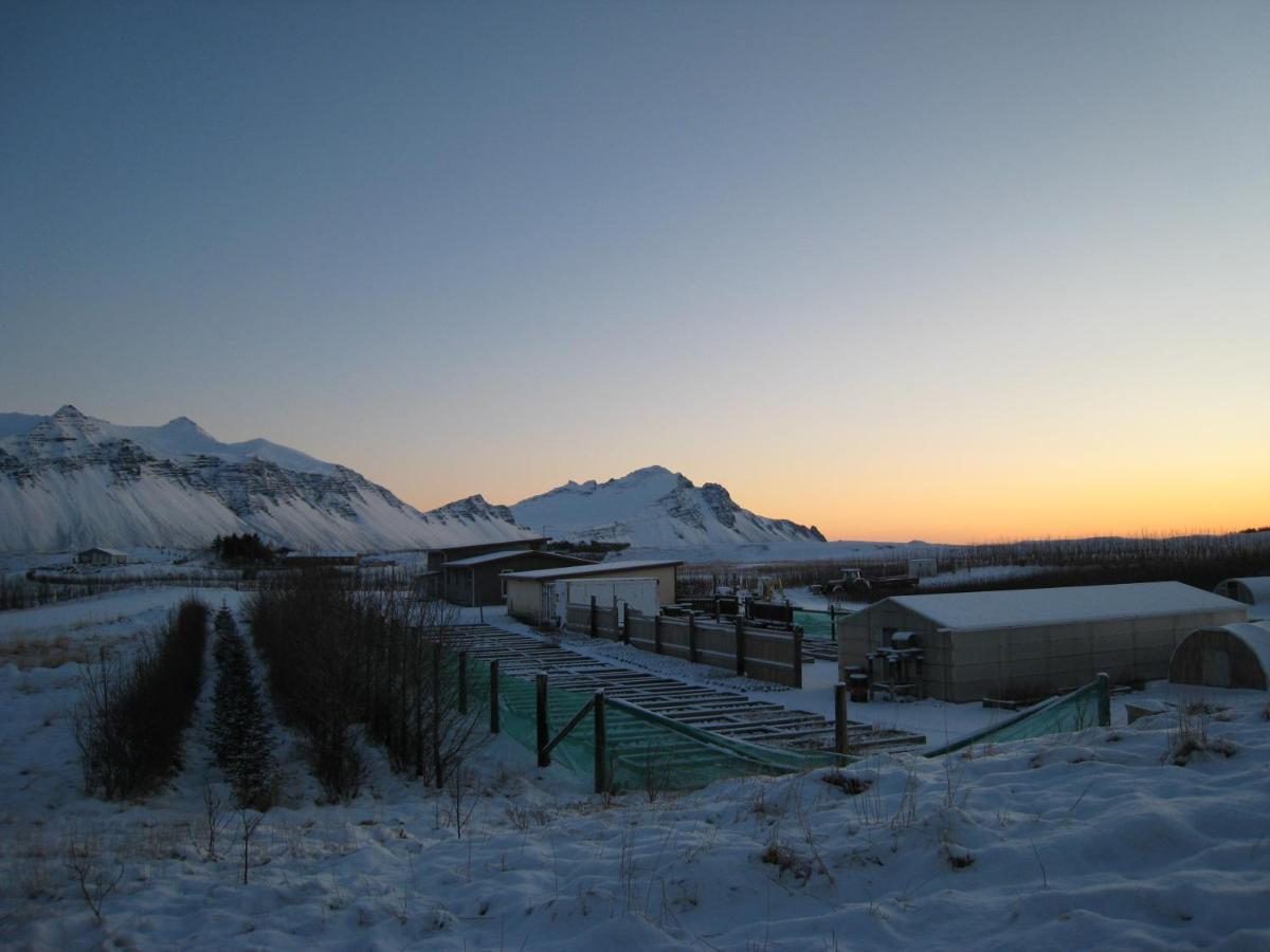 Dilksnes Guesthouse Höfn Dış mekan fotoğraf