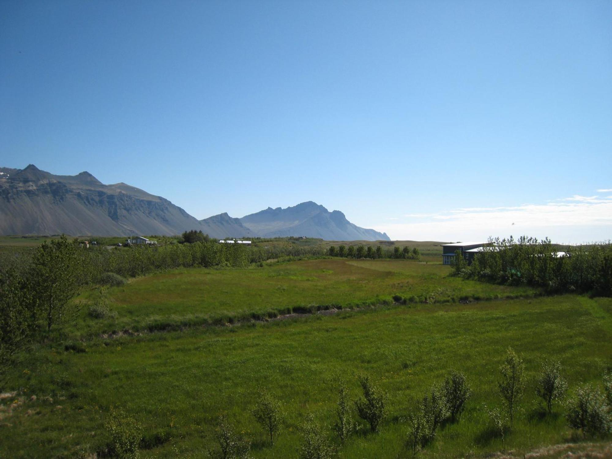 Dilksnes Guesthouse Höfn Dış mekan fotoğraf