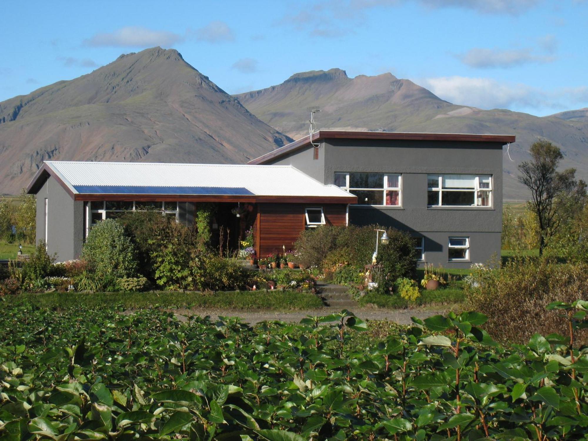 Dilksnes Guesthouse Höfn Dış mekan fotoğraf