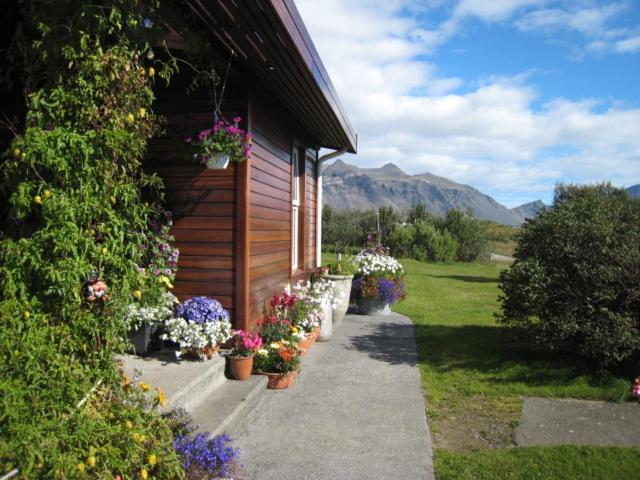 Dilksnes Guesthouse Höfn Dış mekan fotoğraf