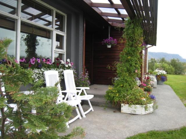 Dilksnes Guesthouse Höfn Dış mekan fotoğraf