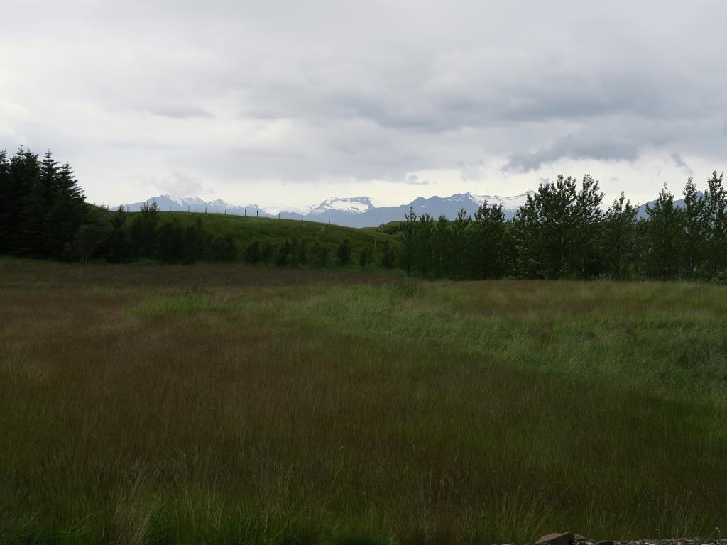 Dilksnes Guesthouse Höfn Dış mekan fotoğraf