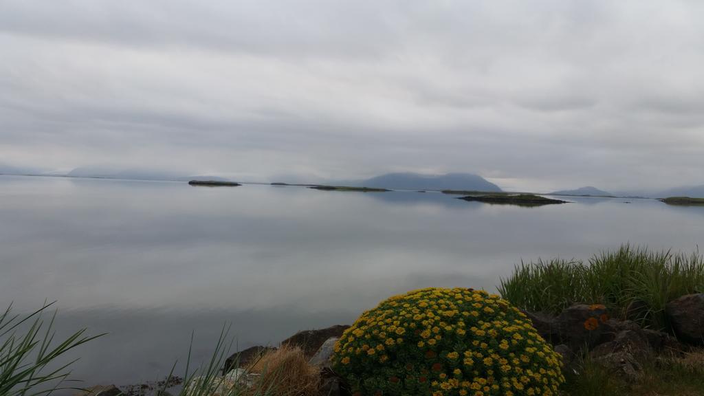 Dilksnes Guesthouse Höfn Dış mekan fotoğraf