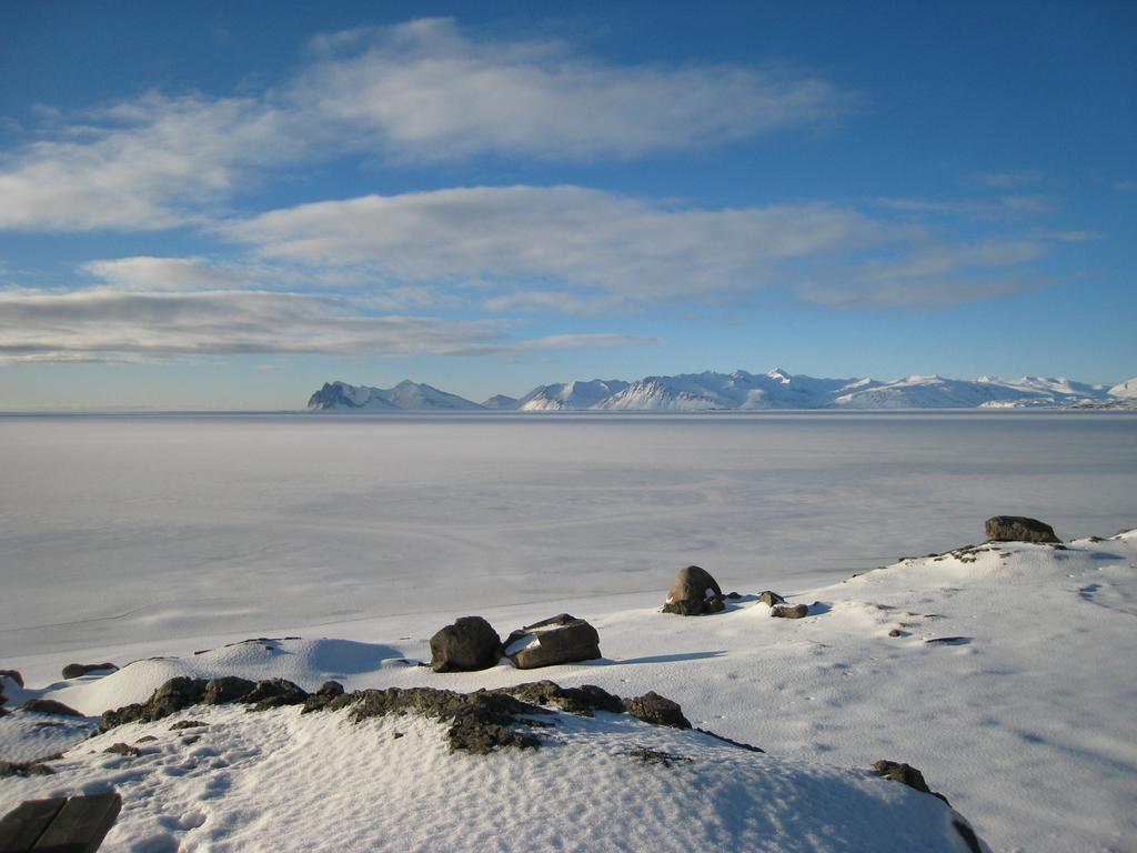 Dilksnes Guesthouse Höfn Dış mekan fotoğraf